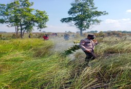 Gabungan TNI-POLRI dan Balai Besar TNWK Atasi Karhutla