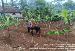 Dukung Program Ketahanan Pangan Nasional, Kapolres Lampung Timur Terjunkan Bhabinkamtibmas