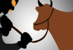 Team gabungan Tekab 308 Polres Lampung Timur, dan Polsek Way Bungur, melumpuhkan upaya kabur seorang Buronan tindak pidana pencurian hewan ternak sapi.