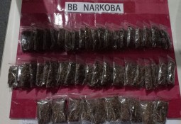 Sat Res Narkoba Polres Lampung Timur Berhasil mengamankan Tersangka berikut Barang Bukti puluhan Paket Ganja 