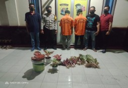 Curi Bunga Hias, Dua Warga Batanghari Nuban Di bekuk Polisi