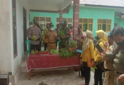 Desa Bumiharjo Dikukuhkan Sebagai Kampung Tangguh Nusantara
