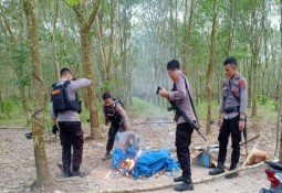 Polisi Grebek Arena Judi Sabung Ayam Di Lampung Timur